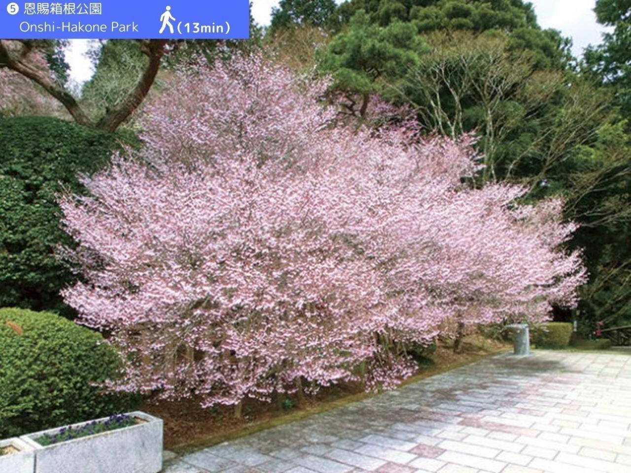 Yoichi Inn Hakone Exterior foto